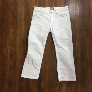 Paige 29 Hollywood Hills no stretch cropped